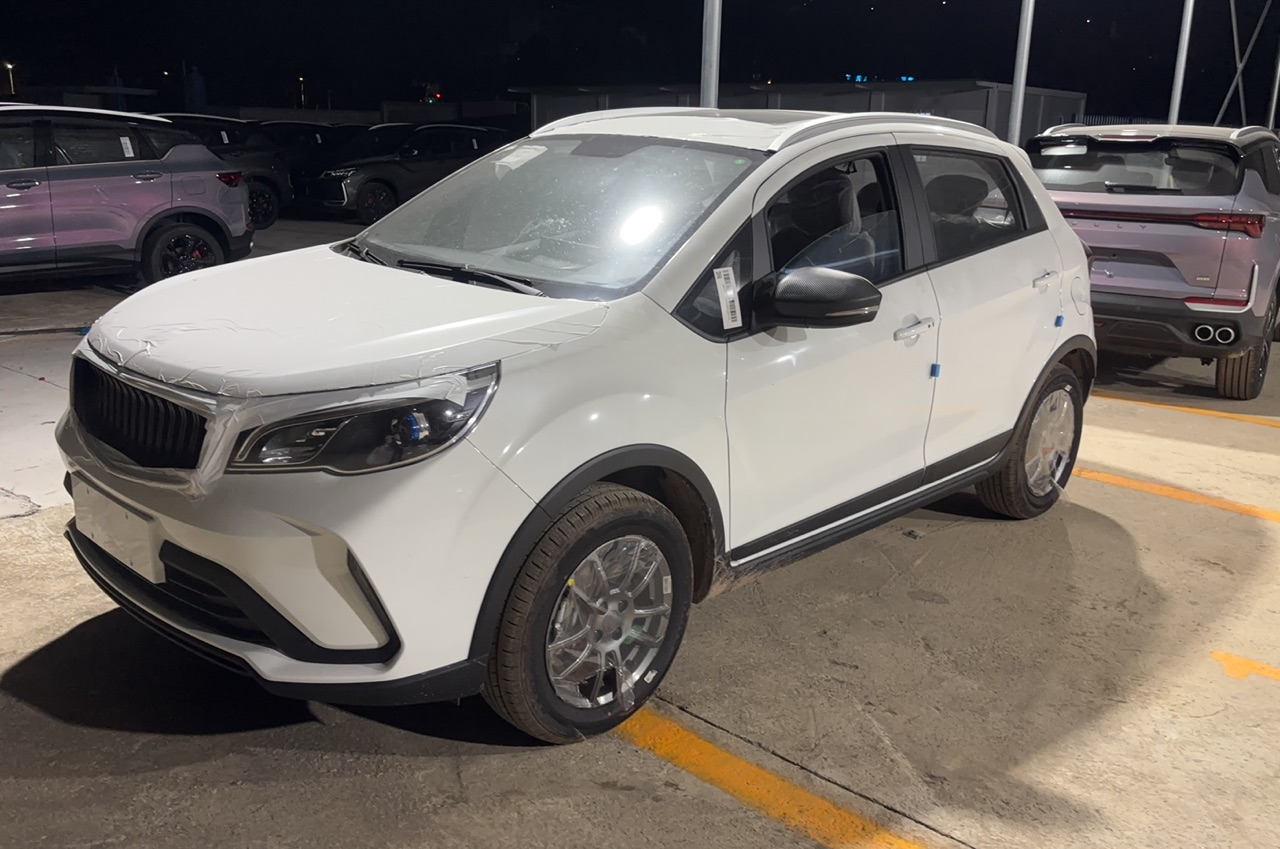 睿蓝手动精英型 LIVAN MT